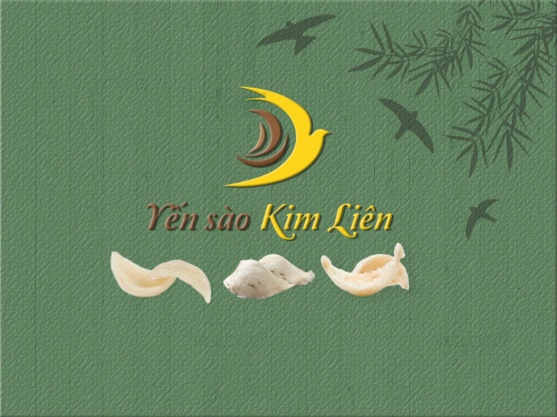 Logo yến sào độc đáo Logo yến sào độc đáo