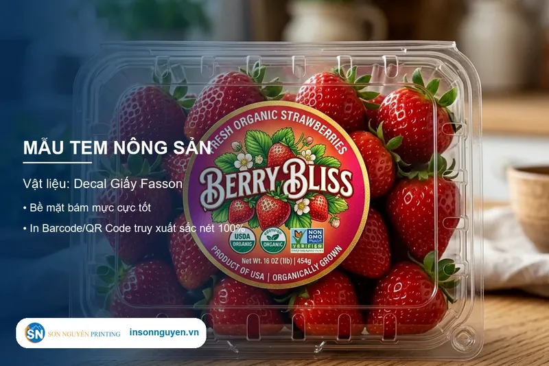 Mẫu tem nhãn decal nông sản hoa quả trái cây thiết kế đẹp