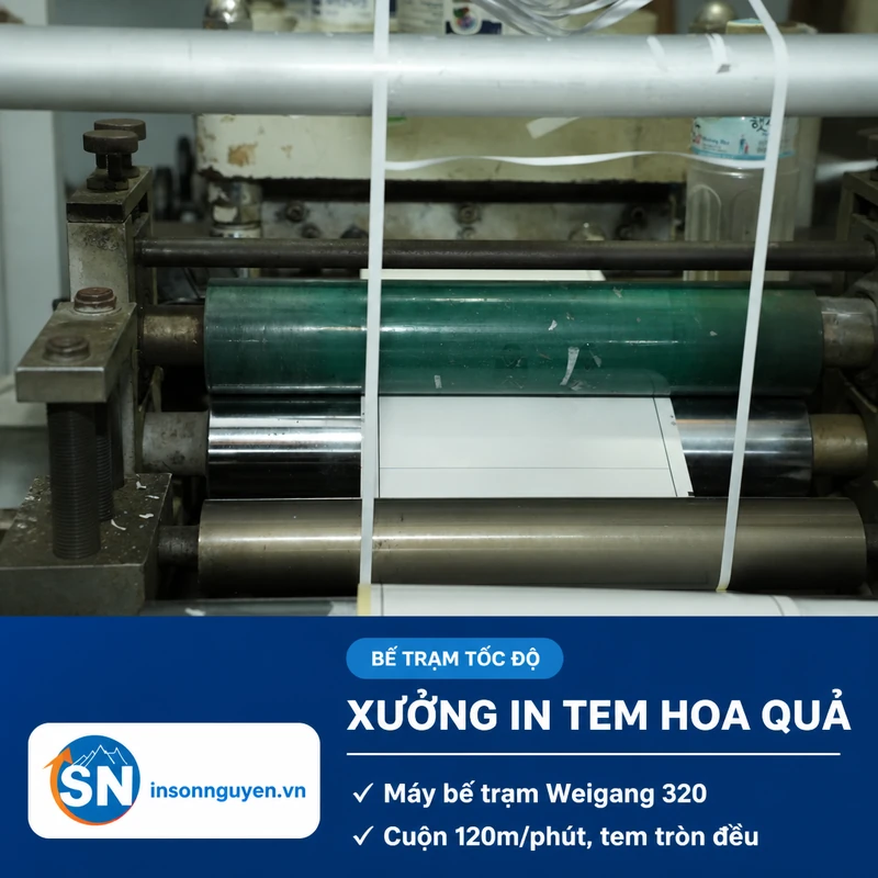 máy bế trạm decal cuộn Weigang 320 sản xuất tem tròn dán hoa quả tại xưởng Sơn Nguyên
