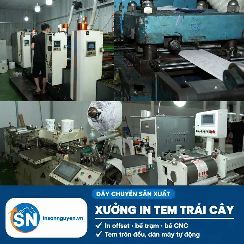 dây chuyền in tem dán trái cây máy in offset bế trạm bế CNC tại xưởng in Sơn Nguyên