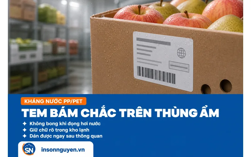 Thùng carton táo lê nhập khẩu dán tem phụ đọng hơi ẩm trong kho lạnh